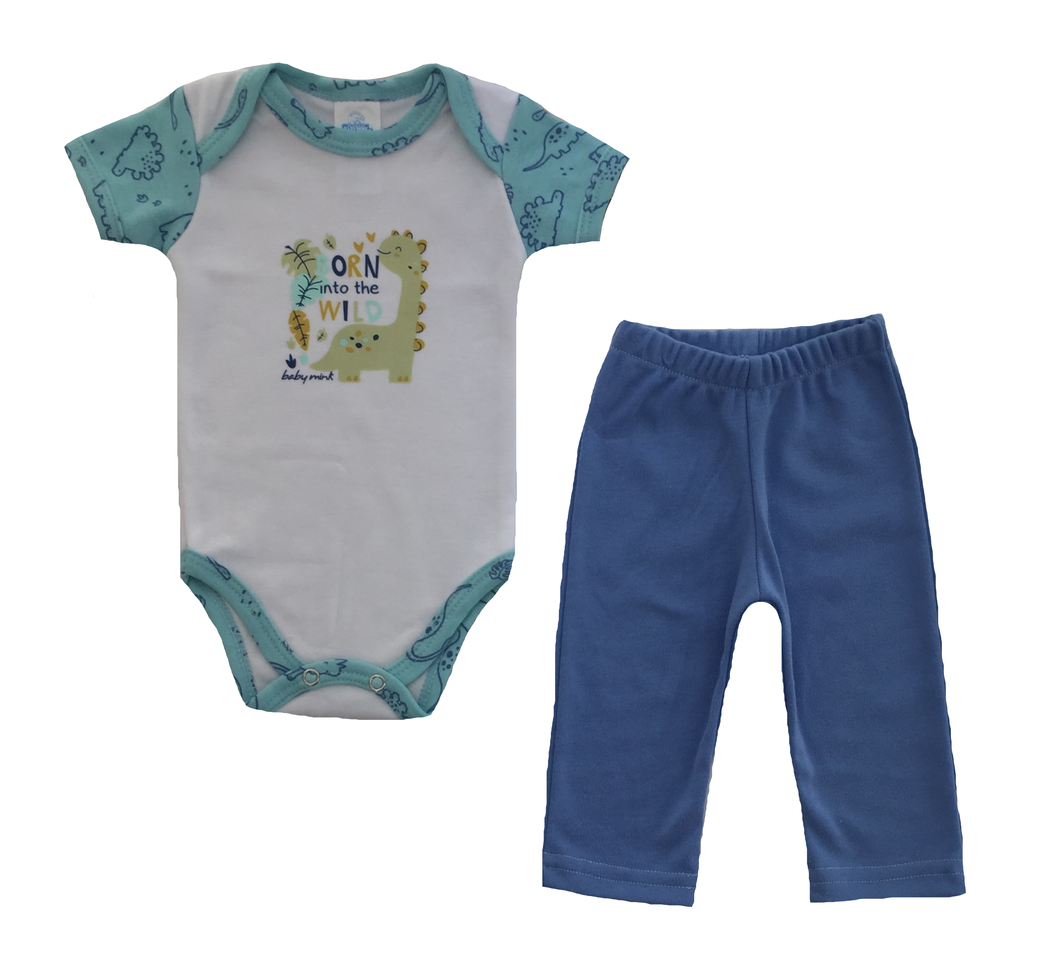 Conjunto Pañalero Dinosaurios